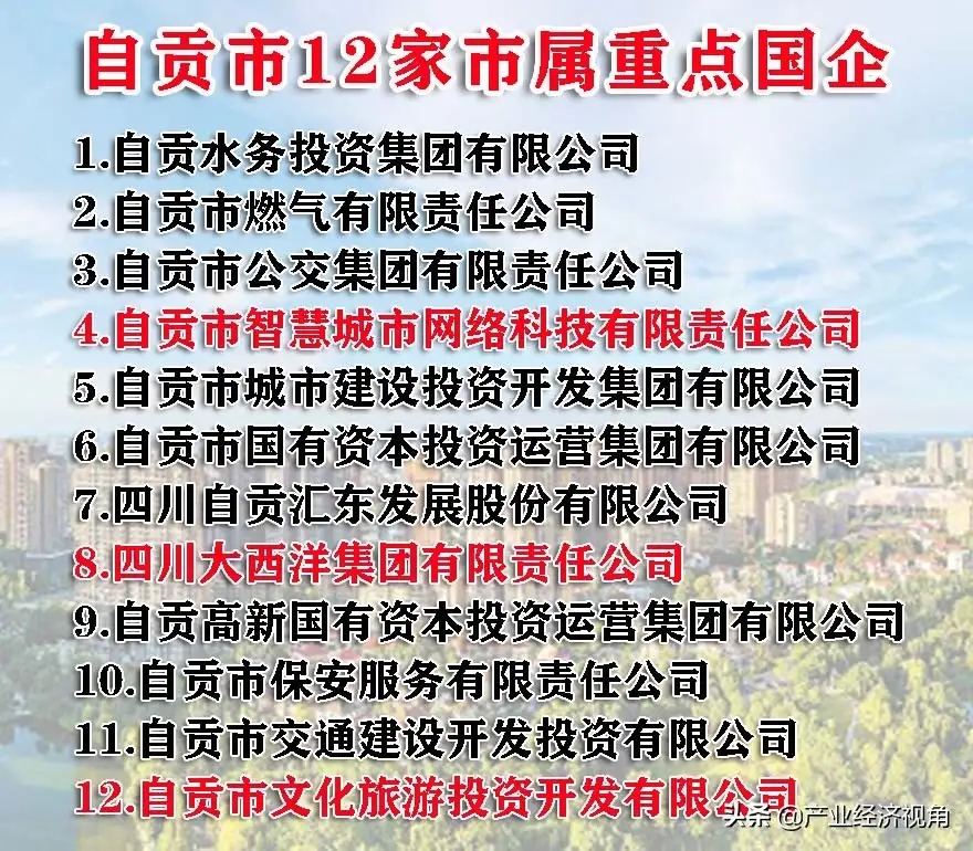 自贡市12家市属重点国企