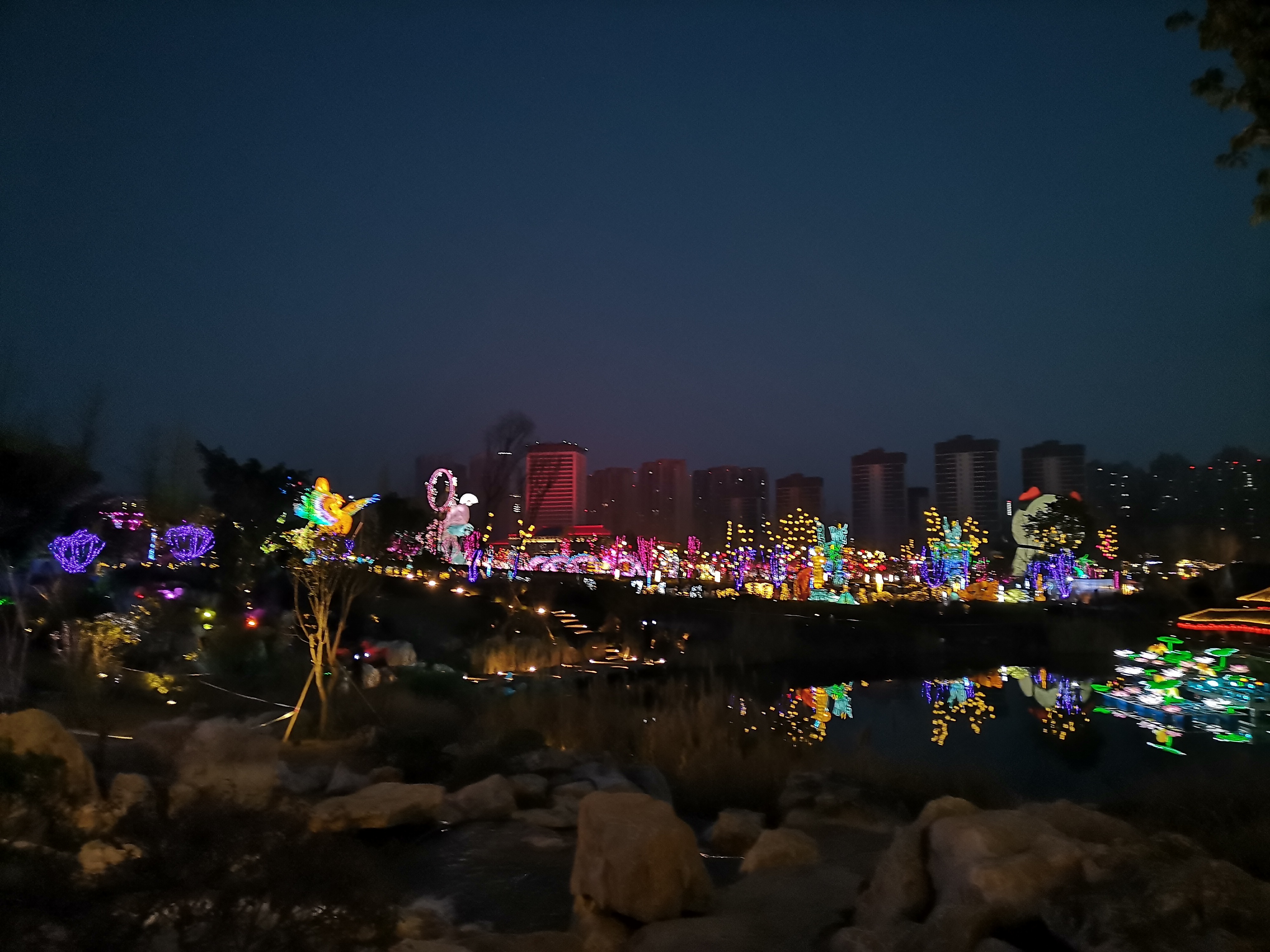 成都东安湖体育馆夜景图片